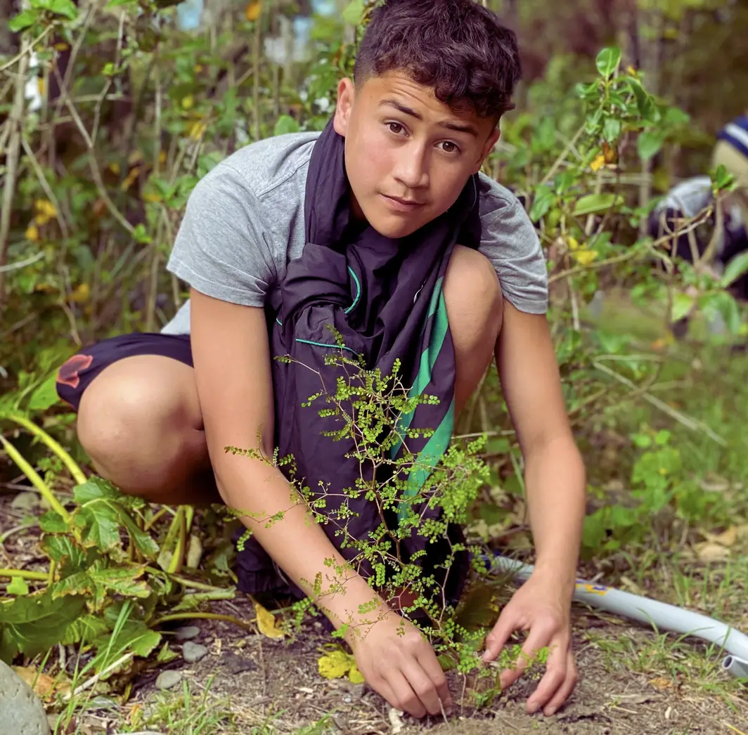 School pupil planting a native tree