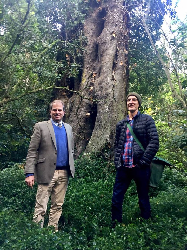 Chris Morrison and Grant Harper in front of a large kahikatea tree in Rathkeale’s bush.
