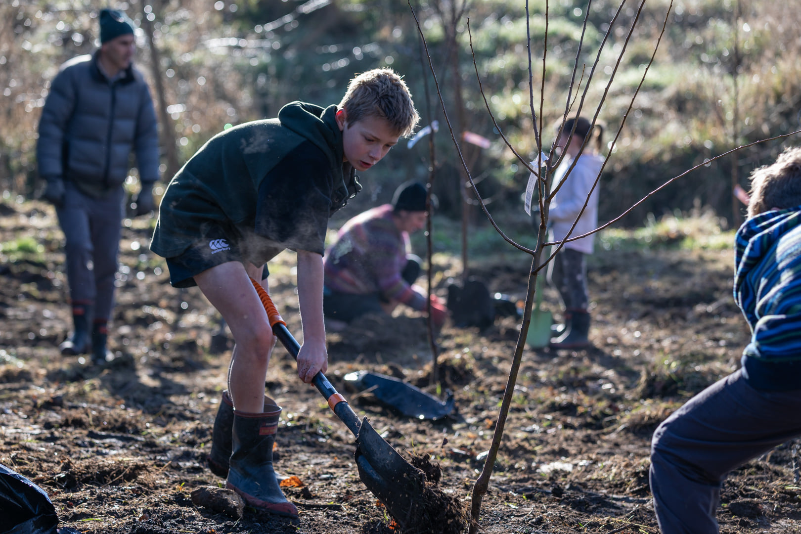 Students planting native trees