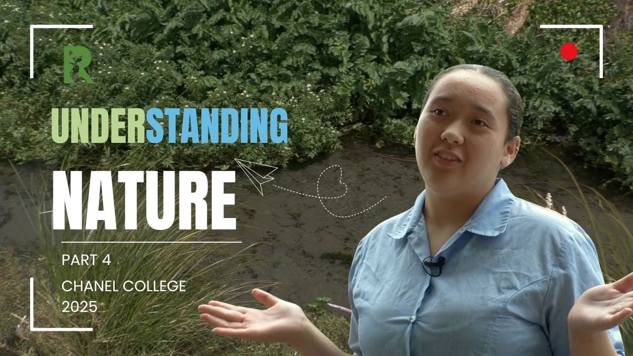 A student from Chanel College, Understanding Nature: Part 4