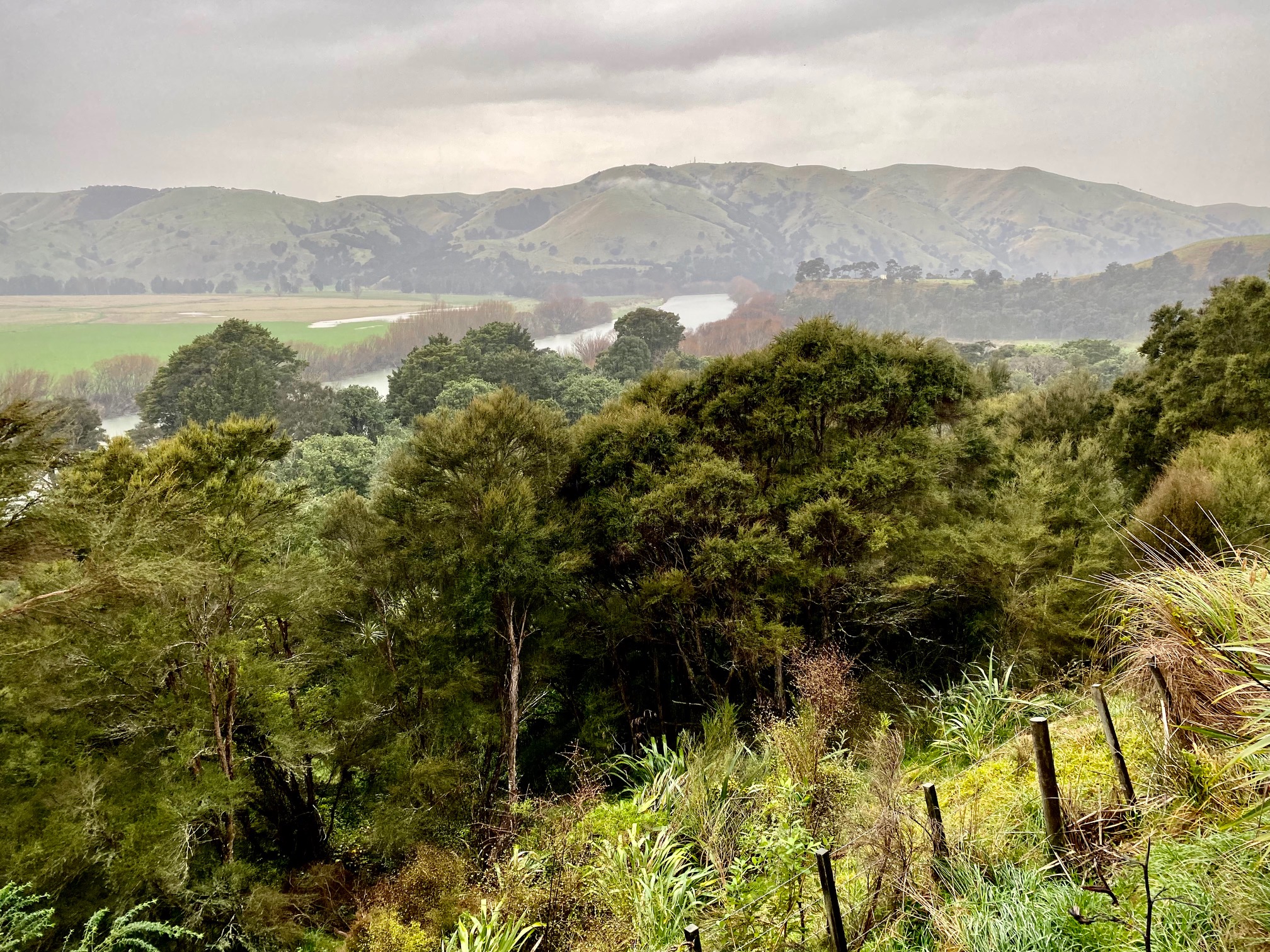 View of the Ruamahanga River