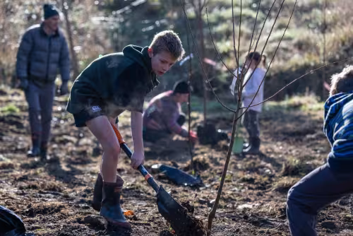 Gladstone School students planting native trees