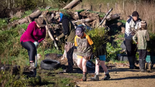 Gladstone School students planting native trees